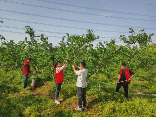 无锡烟草助农助残 用心点亮小幸福