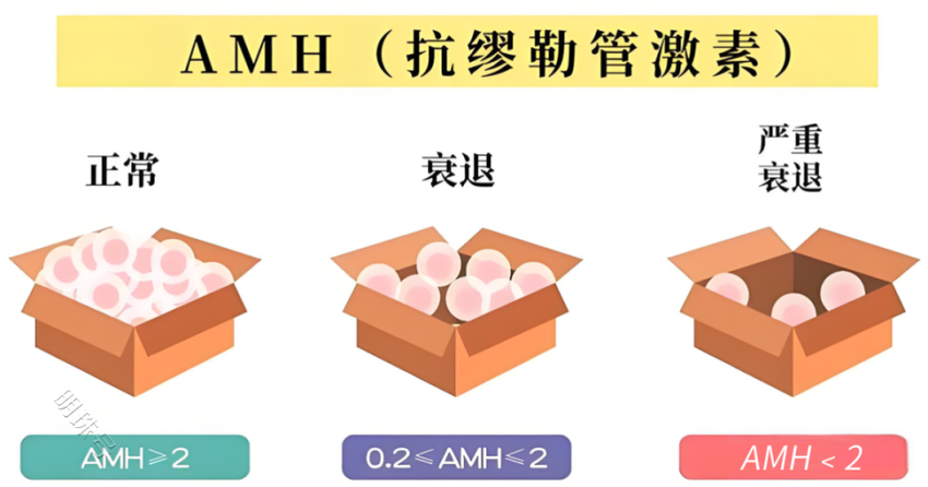 备孕知识大科普！除了常规性激素六项，为什么还要检测AMH值？