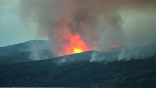 阿根廷知名国家公园遭纵火，过火面积超1000公顷！