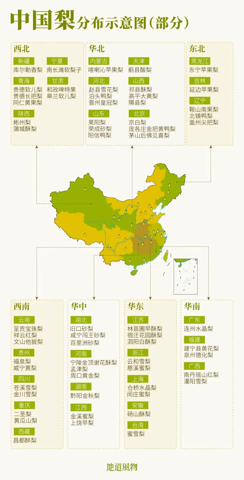 这种水果是“咳嗽克星”，秋冬一定要多吃