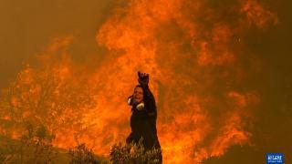 希腊多地野火肆虐