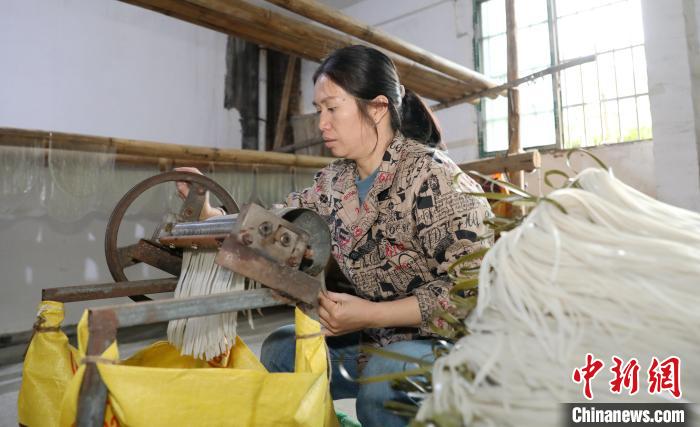 广西侗乡：制作薯粉添富路