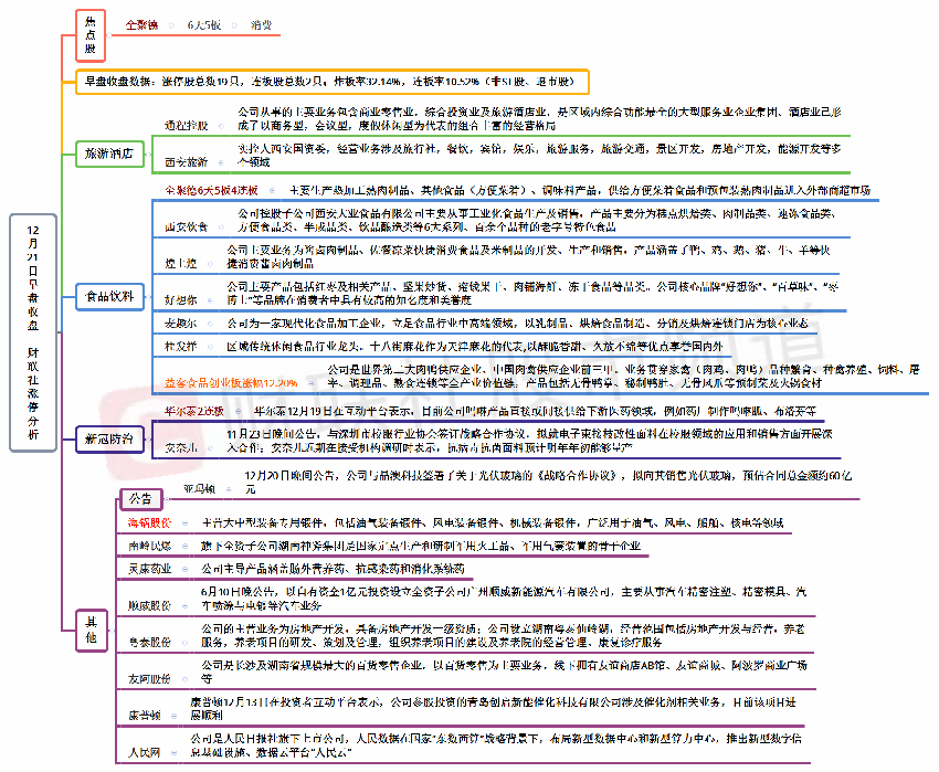 12月21日午间涨停分析