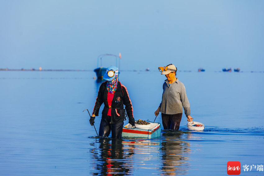 临高美景丨来临高赶海公园 体验赶海乐趣