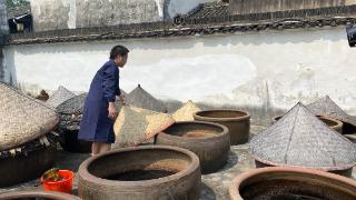 三伏天里，兰溪游埠匠人守护“百年味道”