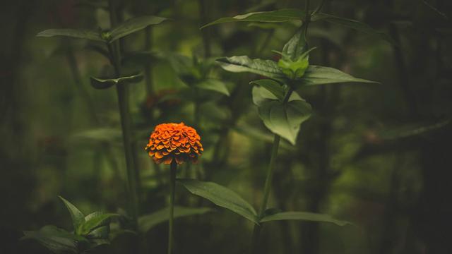 真正高情商的人，往往“不讲道理”，尤其在这3件事上，值得学习