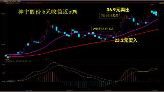 5天赚50% 实战老将分享压箱底绝招——财经小课堂