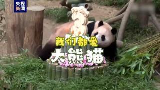 熊猫福宝成为亚太地区的“超级偶像”，快来看看