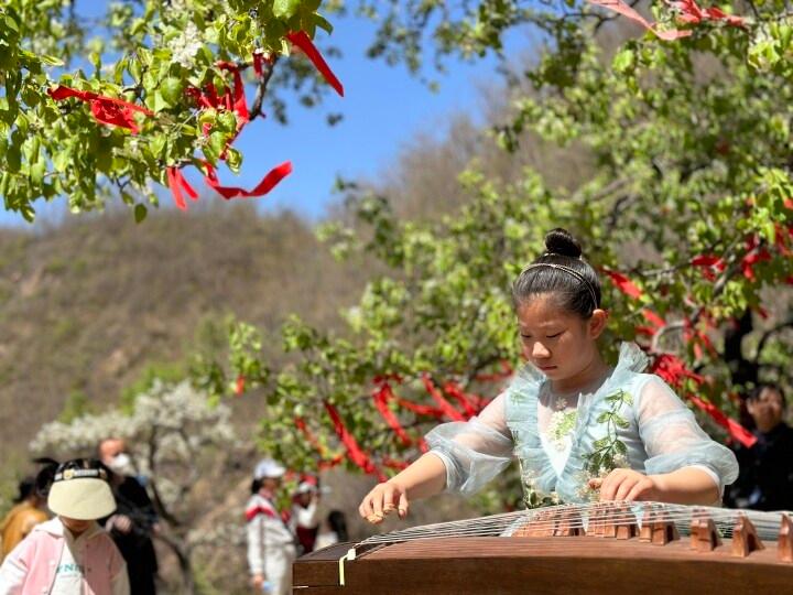 梨花飞雪满春山——青龙第十五届官场梨花节暨第二届电商采购节开幕