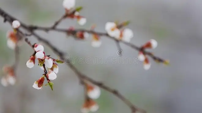 故事：奶奶上门索要养老费，却被孙女赶出家门，真相究竟是什么