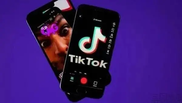 TikTok开测Tako 名为AI聊天机器人实则是AI搜索