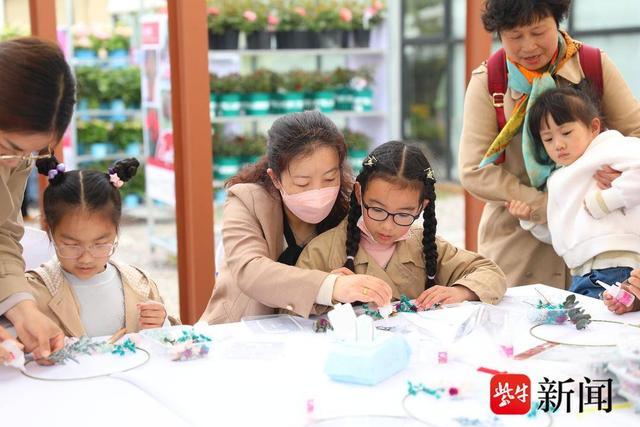 保尔晏华头灶生产基地，占地逾千亩绣球花扮靓美丽乡村