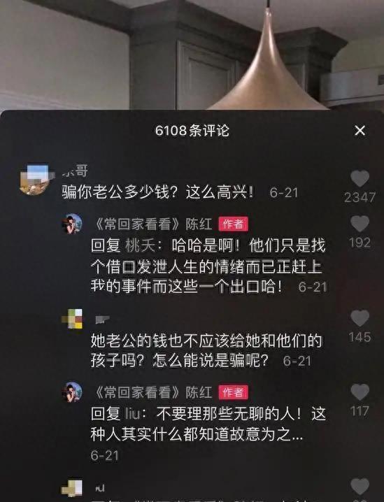 她是著名导演陈凯歌的妻子，被誉为“国民好媳妇”