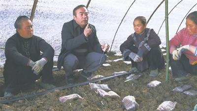 农技人员深入基地   呵护群众地里“金娃娃”