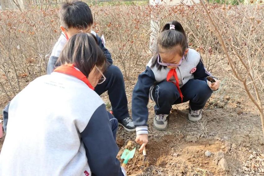 龙抬头·农耕情·劳动美——济南高新区康虹路小学春耕节活动