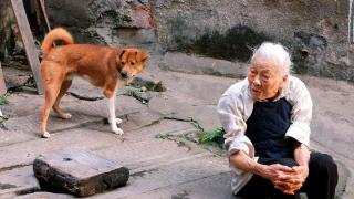 人的一生，再多的金钱也逃不过变老的宿命，最后终将独自离去