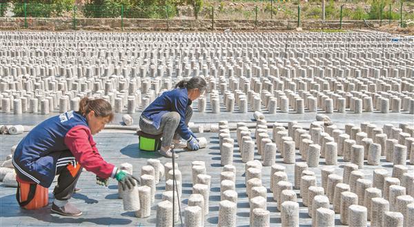 左权县辽阳镇柏管寺村助力群众拓宽增收渠道