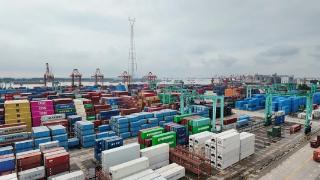 上半年江苏张家港口岸集装箱吞吐量达55.9万标箱 增幅超两成