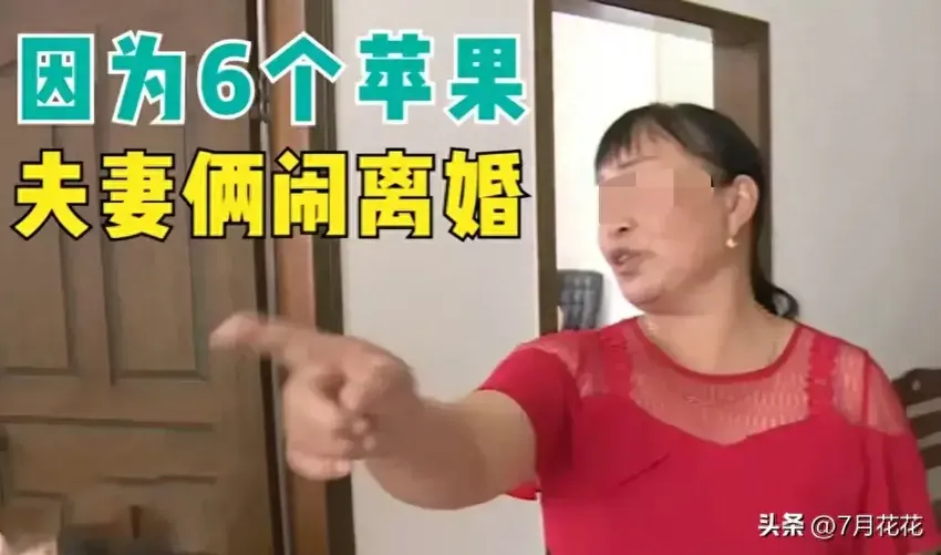 孝顺儿子，偷拿6个苹果给母亲，妻子怒离婚：一针一线都要我同意