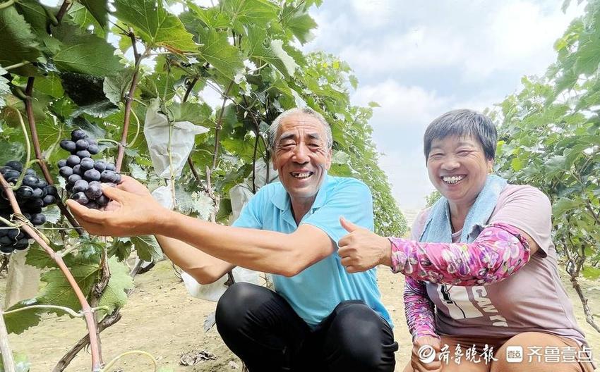 阳信县商店镇第六届乡村旅游葡萄采摘季隆重开幕