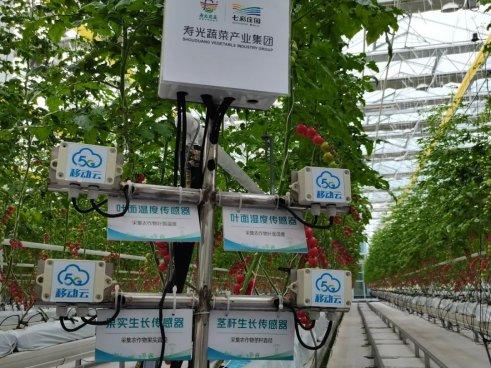 山东移动潍坊分公司：5G赋能“慧”种地，蔬菜大棚尽显科技范儿