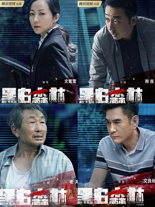 丁禹兮悬疑剧《黑白森林》：上演刑警擒凶斗恶！