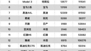 8月中型车销量榜，中国新能源集体沉默