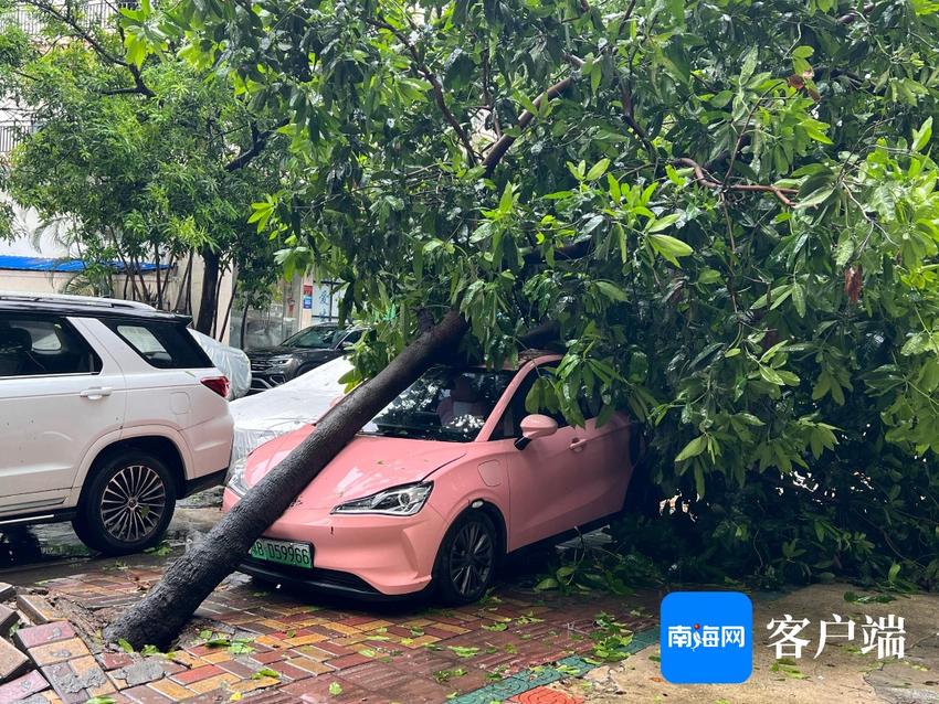 台风“苏力”对三亚影响仍将继续