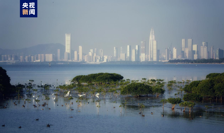 中国有哪些国家级的湿地