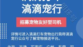 滈滴宠行助力网约车司机增加单量提高收入，招募滈滴打车宠物司机