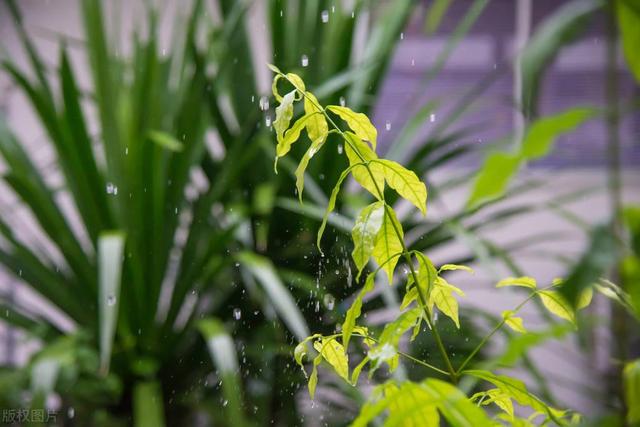 四月雨浸润着思绪和情感，赋予更多内心启示