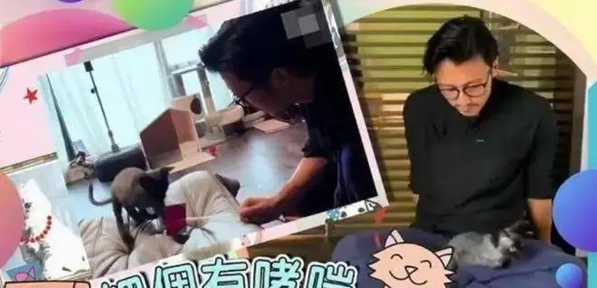 谢霆锋王菲被曝分手！男方离开爱巢回香港，女方已经有小男友？