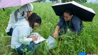 102名南繁“种农”结业 纳入三亚崖州湾科技城南繁“种农”人才库