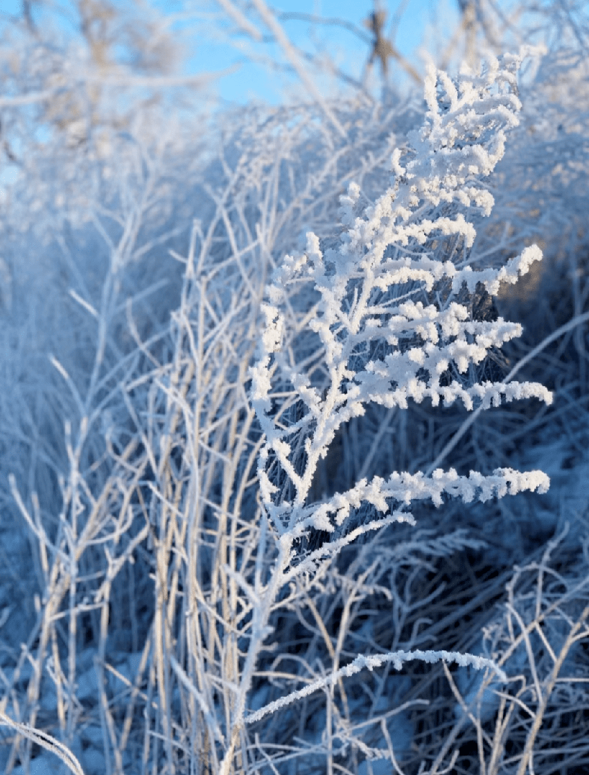 哈尔滨冰雪大世界，名媛们排队几年都要住的奢华冰屋到底有多好？