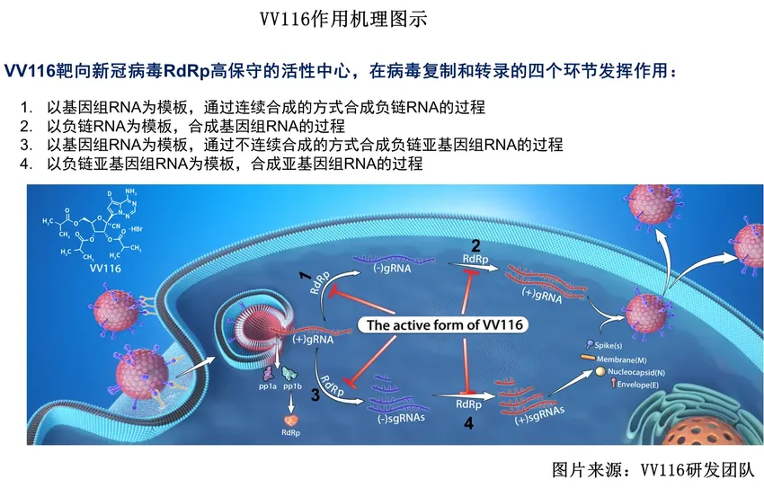 我国抗新冠药物研究结果发布：疗效不亚于辉瑞PAXLOVID，安全性更好