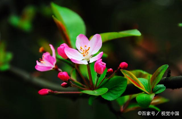 一个女人的格局大不大，从她的婚姻可以看出来