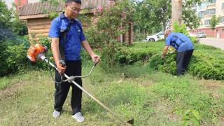 居民信赖的“守护员”——莱西市水集街道多方共绘和谐社区人物故事之一