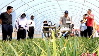 多省市专家河北衡水观摩智能机械 助力设施蔬菜产业