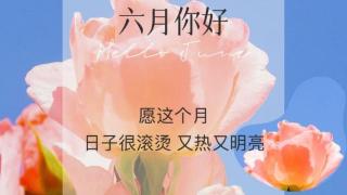 走进六月，将扶疏的花影轻轻抚摸