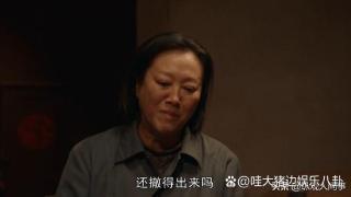 《故乡的泥土》热播，老戏骨王丽云竟败给后辈马藜？哭戏见真章