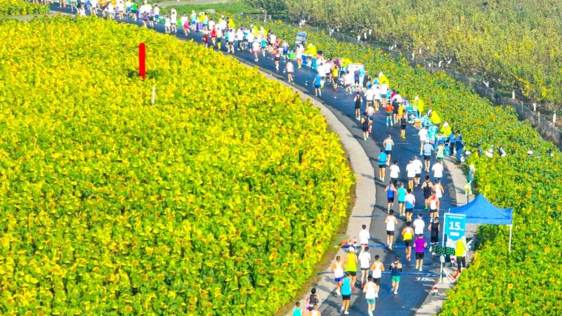 南京高淳：“螃蟹马拉松”来了