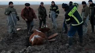 俄上万民宅遭洪水淹没：救援人员划皮艇疏散受灾人员 挖土救牲畜