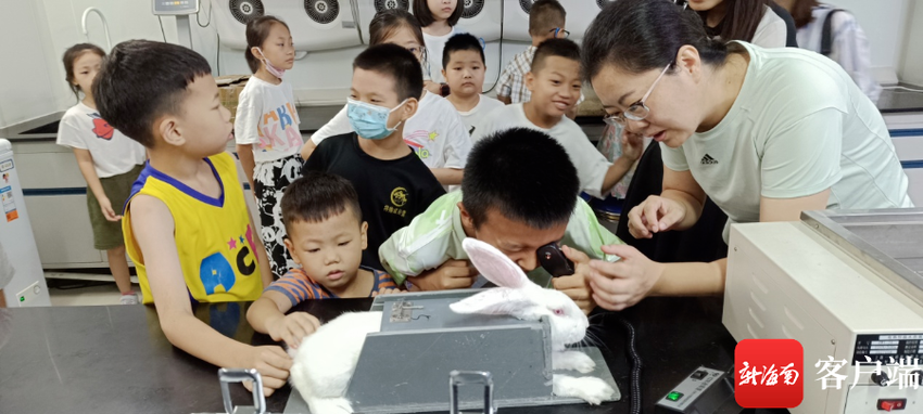 海南省药检所举办实验室开放日活动 让孩子们走近实验动物培养科学兴趣