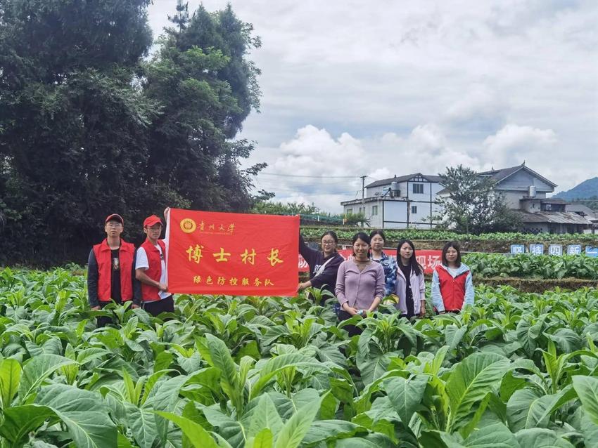 贵州大学：积极推进“大思政课”建设 落实立德树人根本任务