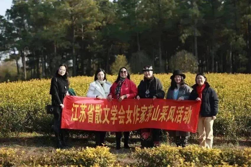 江苏省散文学会女作家走进茅山旅游度假区