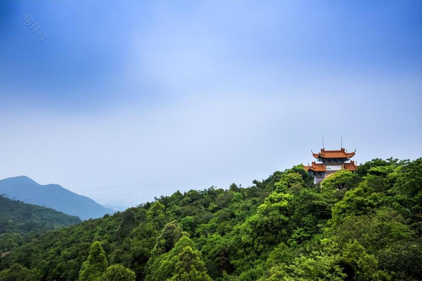 北边马树山的举报与南边观音山的困境 同样遭遇情况迥异