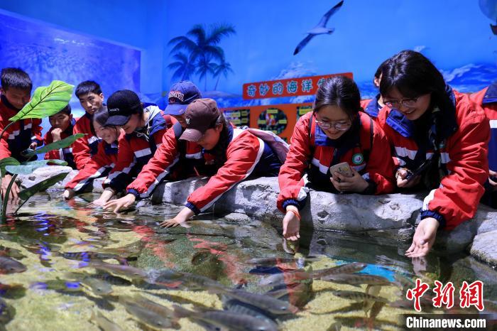 青海藏乡学子化身“驯养师”感受海洋生物习性