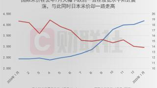 约20元1斤！日本1月大米价格同比暴涨超80%