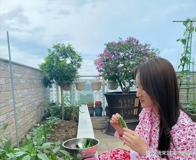 “51岁杨钰莹的“豪宅“火了，一个人养花种菜与狗相伴，真的好