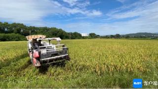 三亚水稻全程机械化种植技术示范基地测产验收